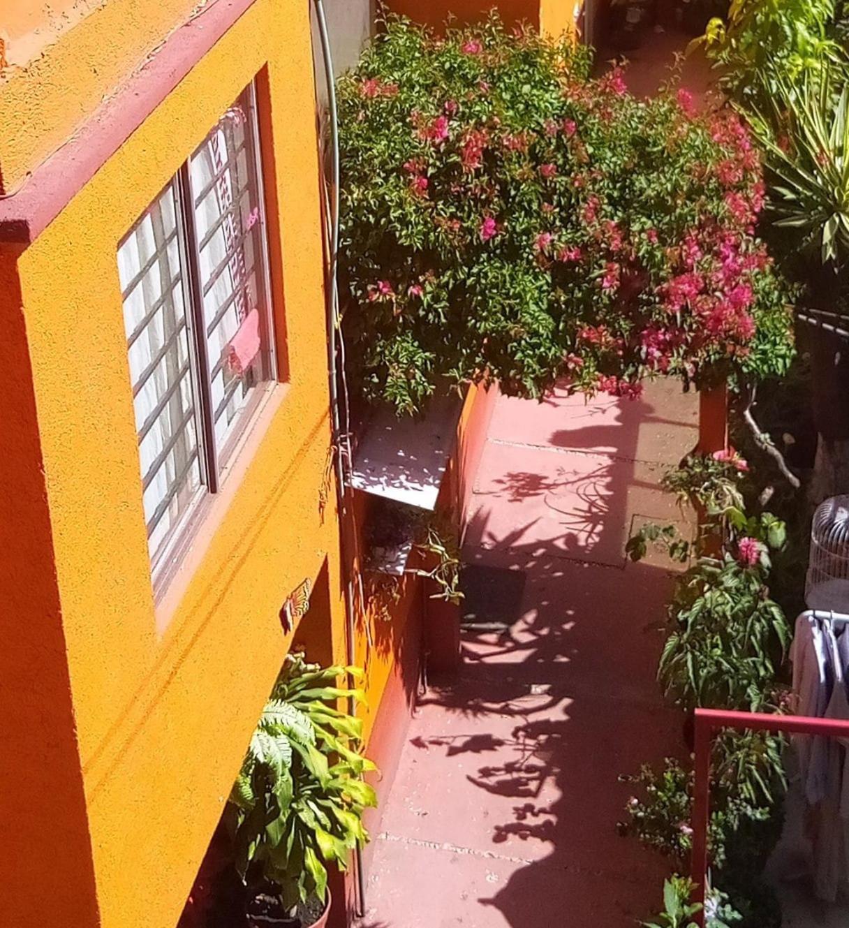 メキシコシティHermoso Depa De 3 Recamaras Y 2 Banos En El Centro De Coyoacanアパートメント エクステリア 写真
